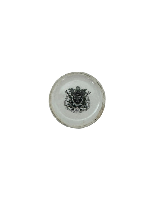Portmerion, England African Daisy Vase