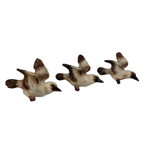 Pates (Australia) 1954 rare set of three graduating Kookaburra ceramic birds