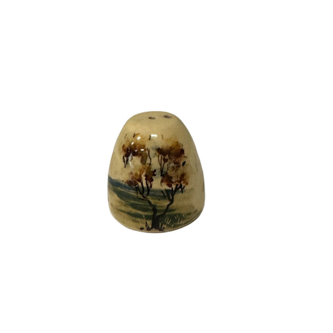 Australian pottery hand painted salt shaker