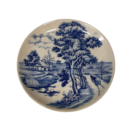 Nasco (Japan) blue river side plate