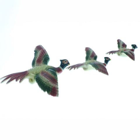 Set of three graduating Japanese Wall pheasants