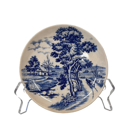 Nasco (Japan) blue river side plate
